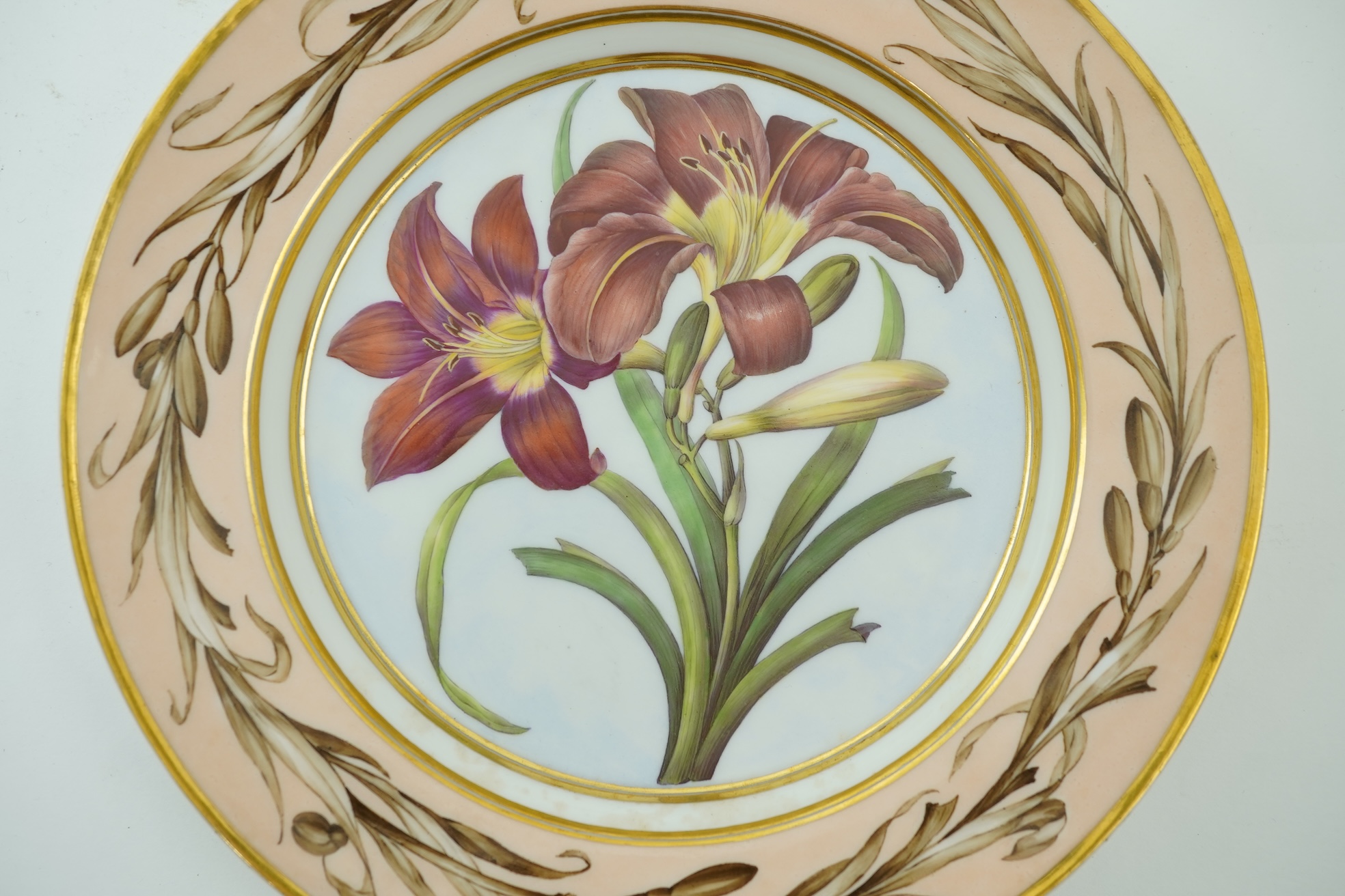 A KPM Berlin Orange day-lily botanical specimen plate, c.1806-9